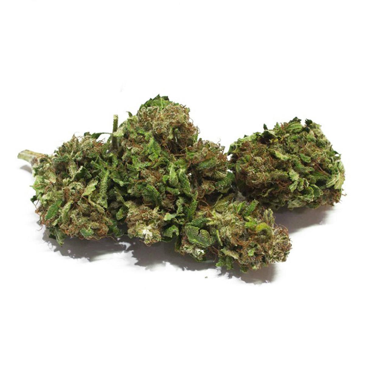 Mister Nice - Premium-CBD Cloud 9 - 1