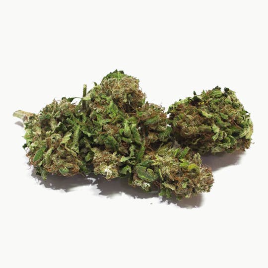 Mister Nice - Premium-CBD Cloud 9 - 1