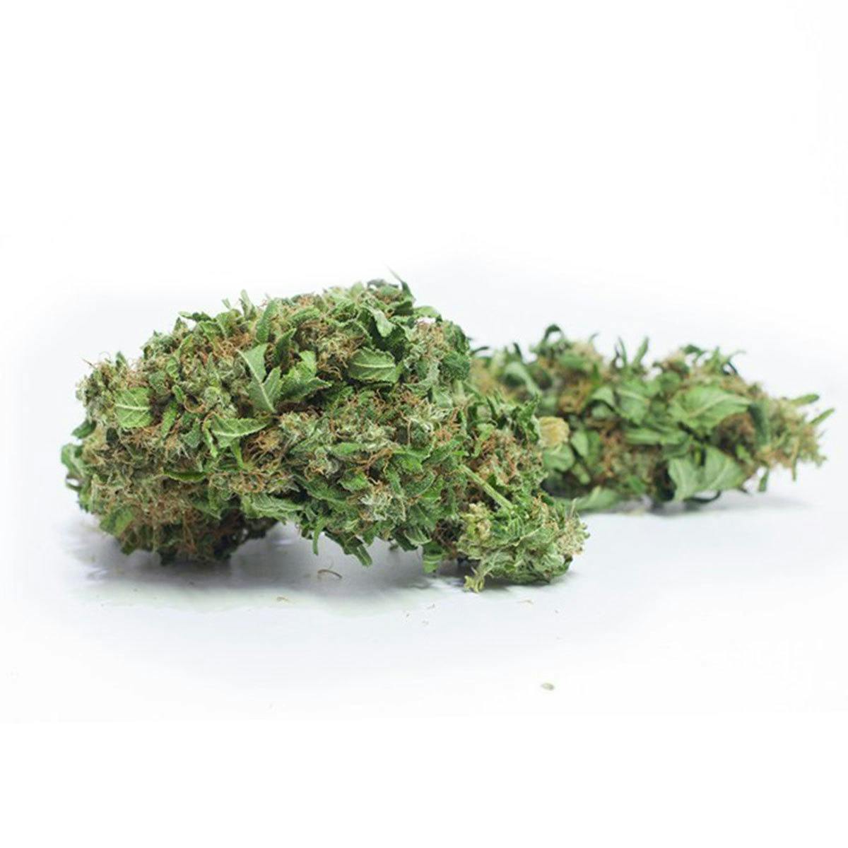 Mister Nice - Premium-CBD Nasa - 1