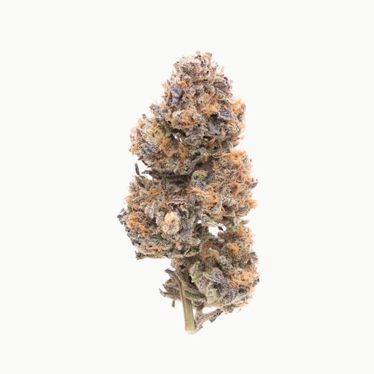 OG Medicinals - Conspiracy Kush - 1
