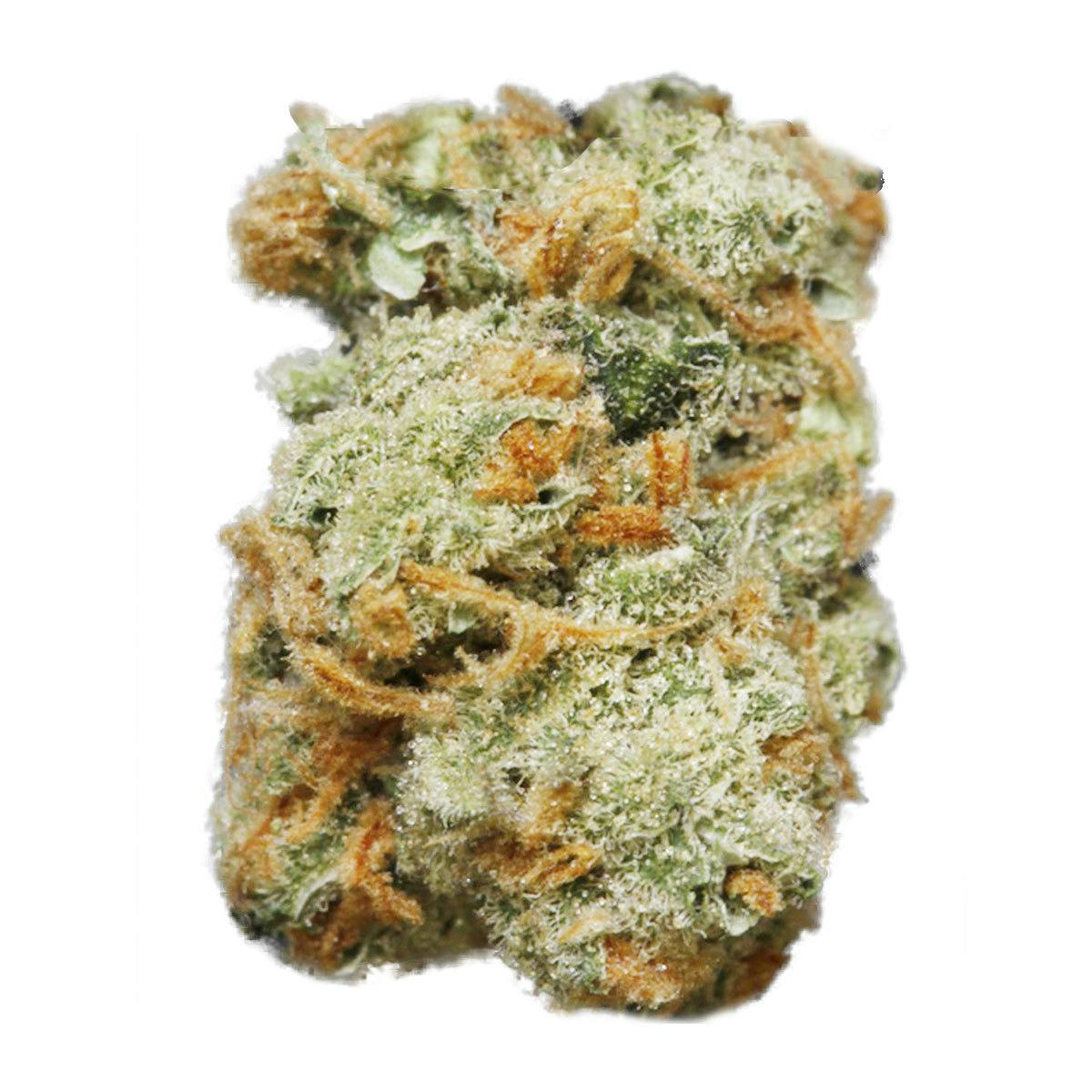 TH Seeds® - Dawg Star Kush - 1