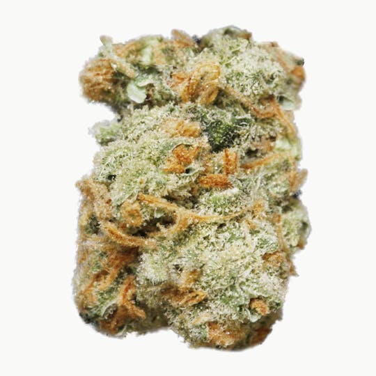 TH Seeds® - Dawg Star Kush - 1