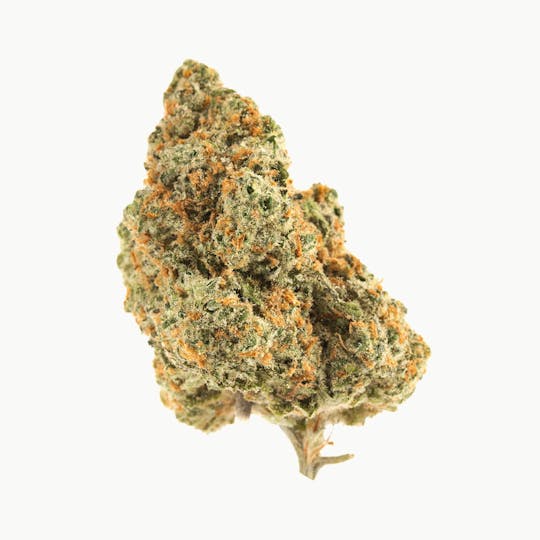 Mad Cow Genetics - Mango Dango - 1