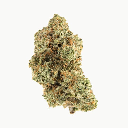 Mad Cow Genetics - Platinum Kush - 1