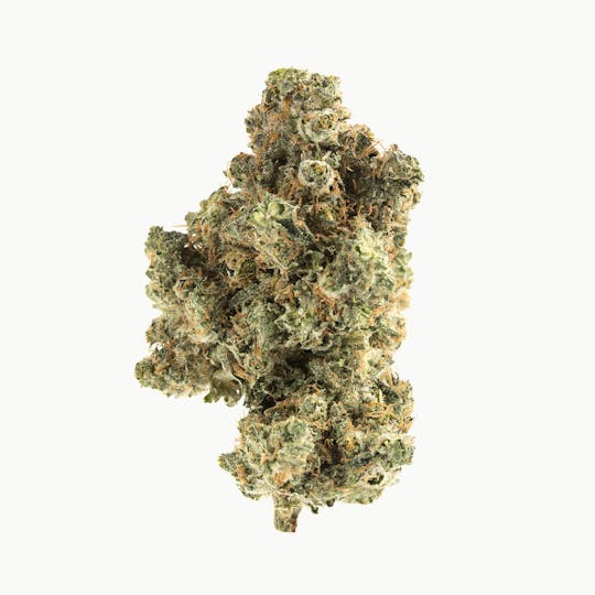 Mad Cow Genetics - Thin Mint - 1