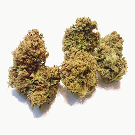DrGreen.ch - Big Bud - 1