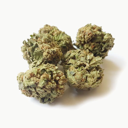DrGreen.ch - Candy Green - 1