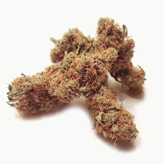 DrGreen.ch - Sour Orange - 1