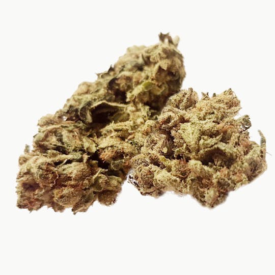 DrGreen.ch - Lemon Haze Indoor - 1