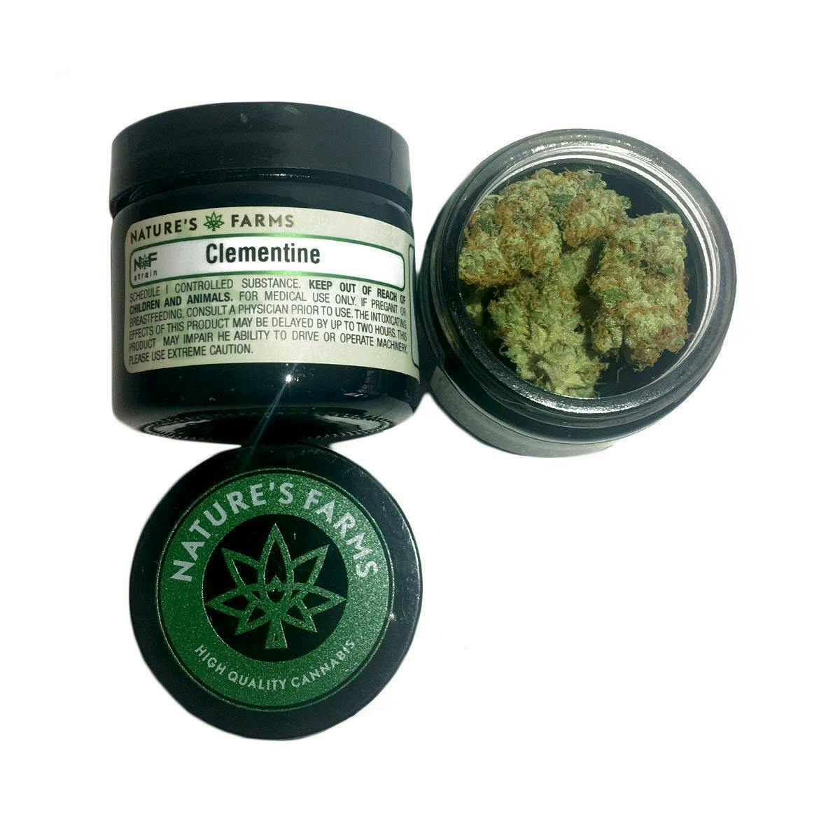 Natures Lab Extracts - Natures Lab Extracts | Clementine | Big Buds | 3.5g - 1