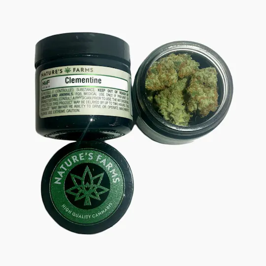 Natures Lab Extracts - Natures Lab Extracts | Clementine | Big Buds | 3.5g - 1