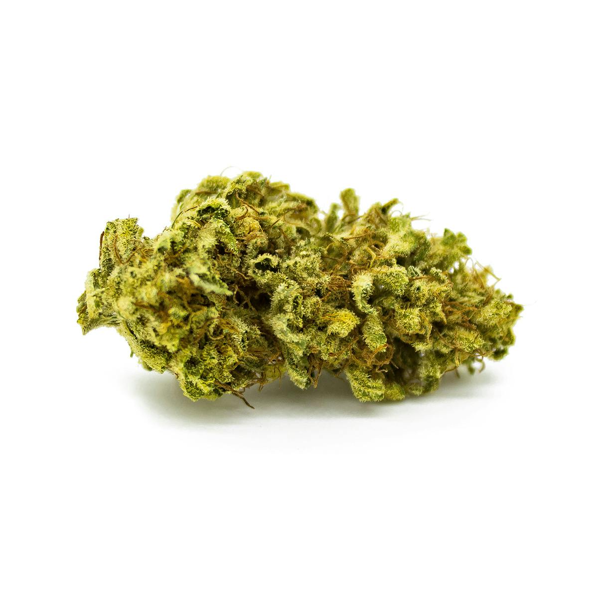 Green Club - Bubble Gum - 1