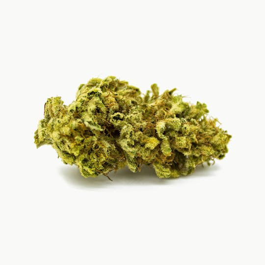 Green Club - Bubble Gum - 1