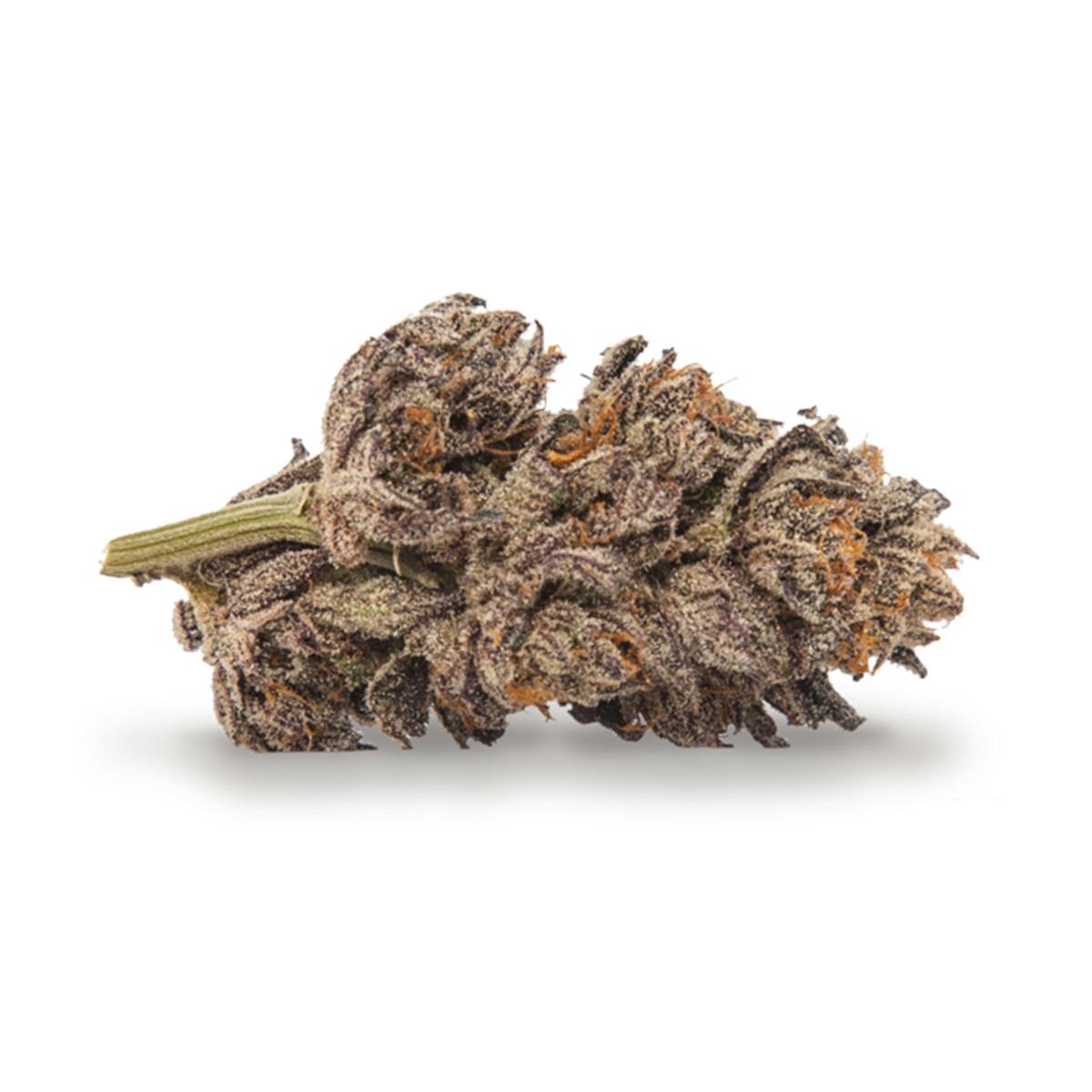 TreeHawk Farms - Granddaddy OG - 1
