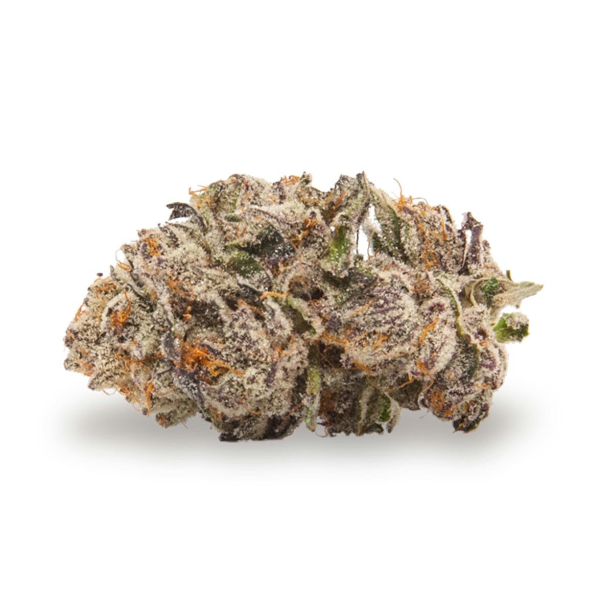 TreeHawk Farms - Sunset Sherbet - 1