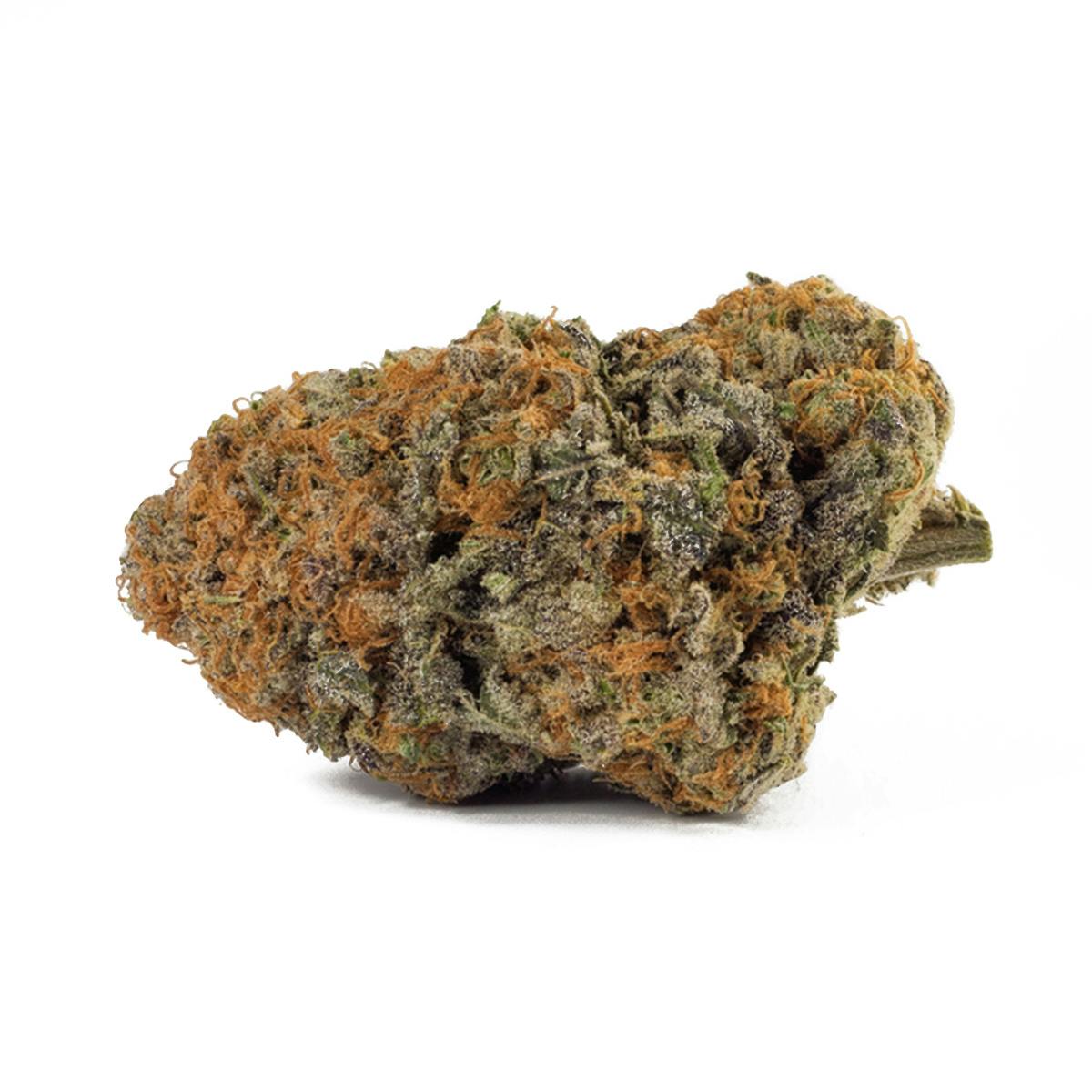 TreeHawk Farms - Northwest Pineapple - 1