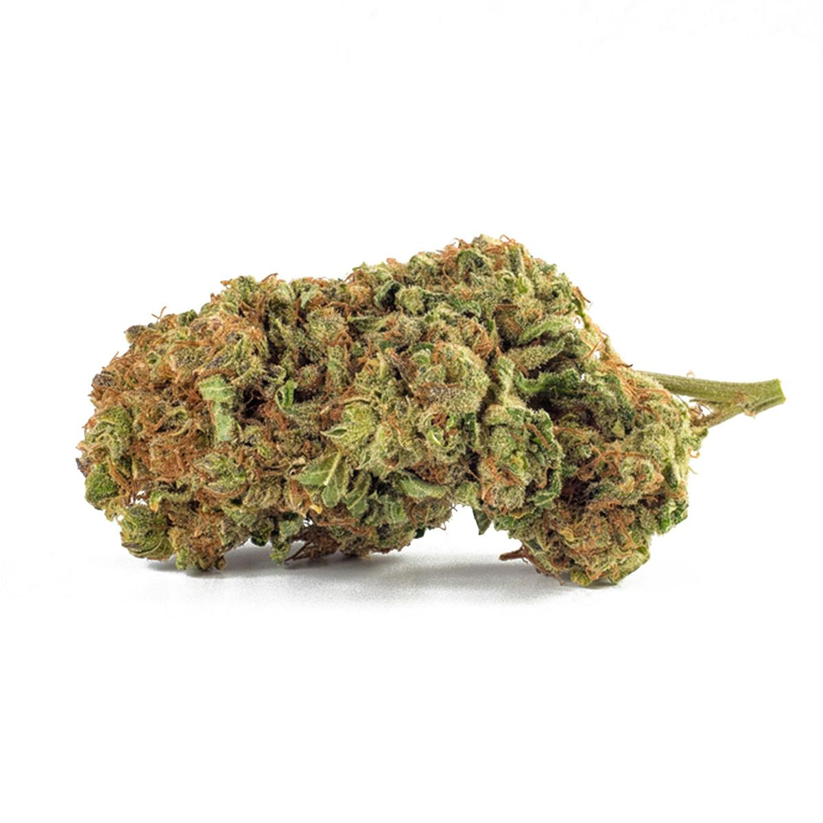 TreeHawk Farms - The Wills - 1