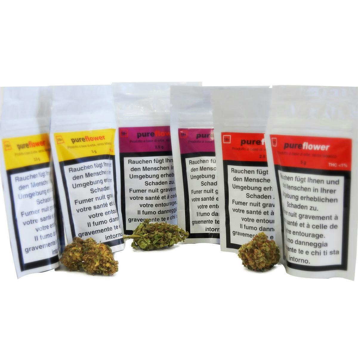 Purexis - Pureflower Purple - 1