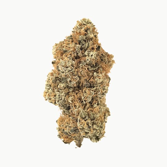 GLP - LA Confidential - 1