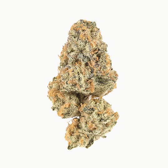 GLP - Greatful Breath - 1