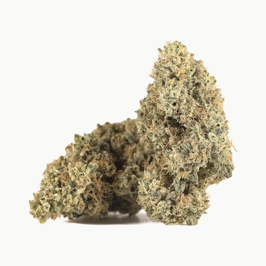 GLP - Glue On Fire - 1