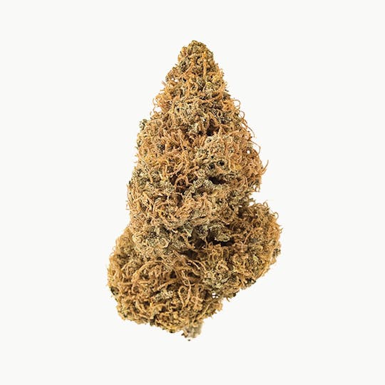 GLP - Fire Angel CBD / THC - 1