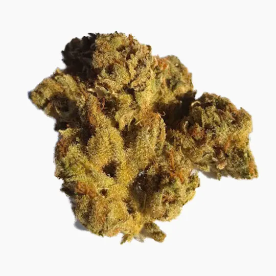 CBDealer - Amnesia Haze - 1