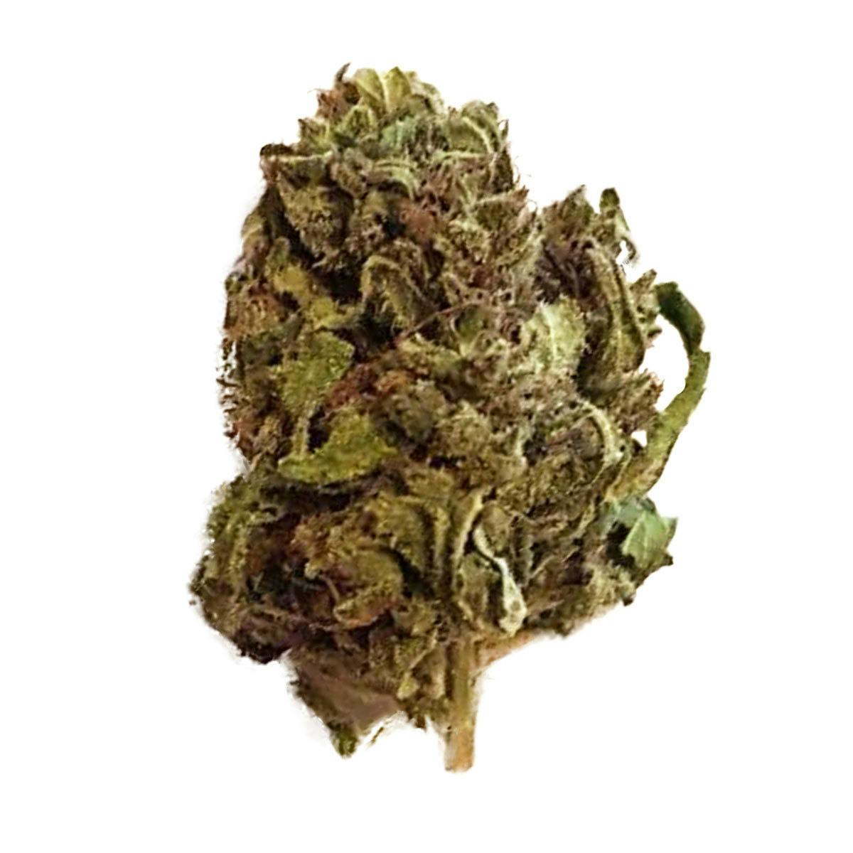 CBDealer - Super Sativa Haze - 1