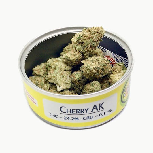 Space Monkey Meds - Cherry AK - 1
