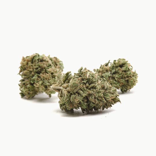Kumba Hills Farms - Zkittles - 1