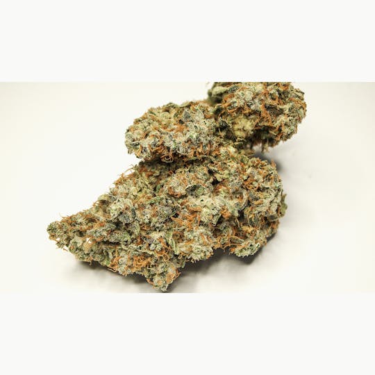 High Tide Organics - Locktite - 1