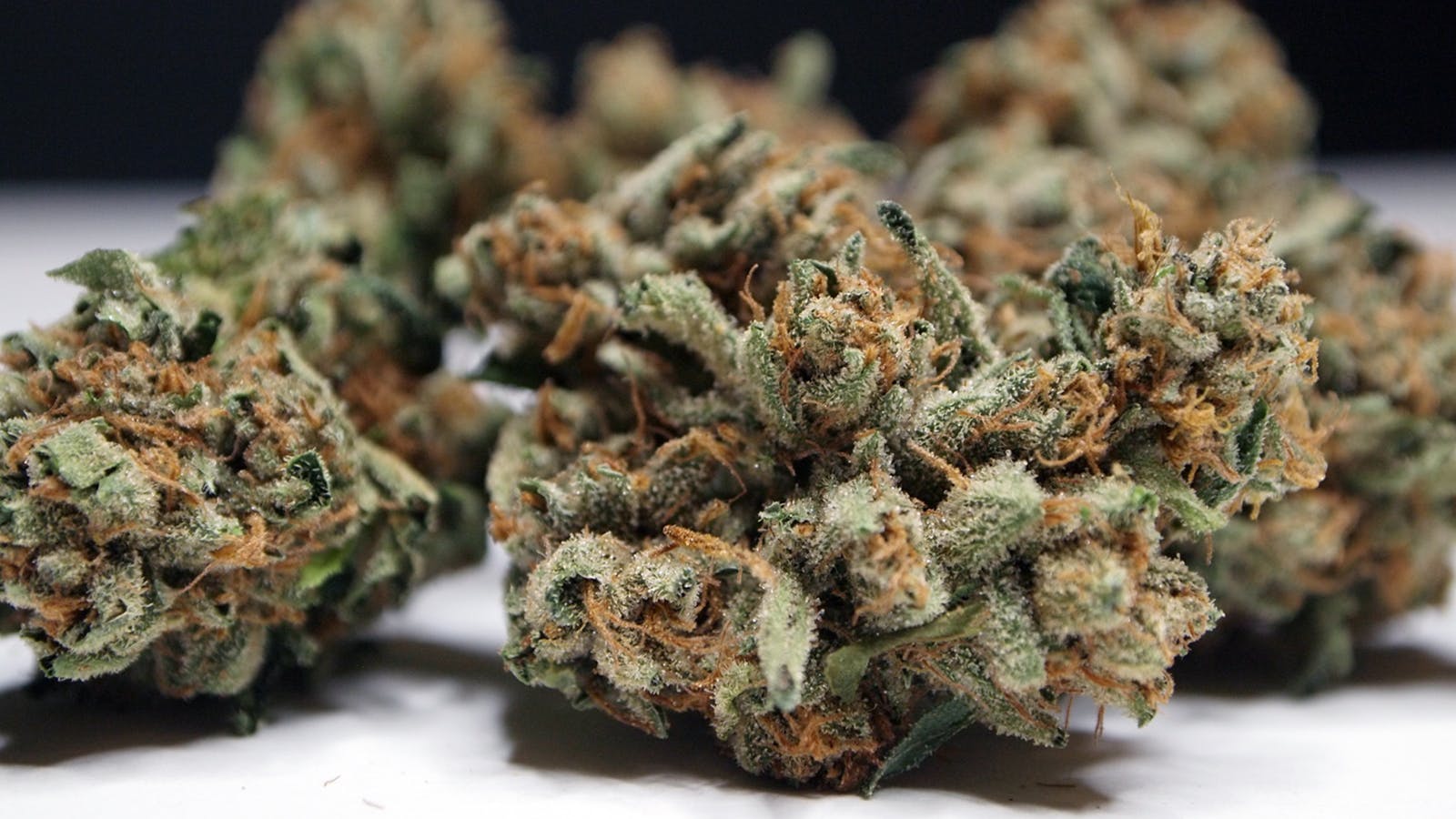 High Tide Organics - Tahoe Kush - 1