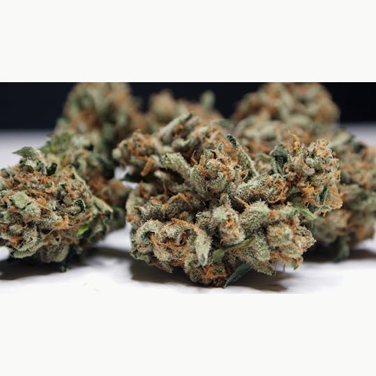 High Tide Organics - Tahoe Kush - 1