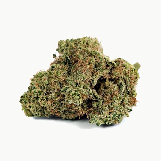 Tryke - Agent Orange - 1