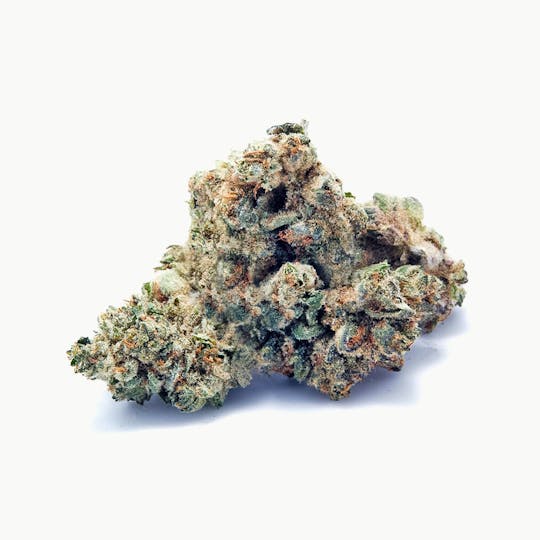 Tryke - Banana Fire OG - 1