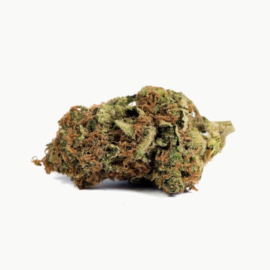Tryke - Double Tangie Banana - 1