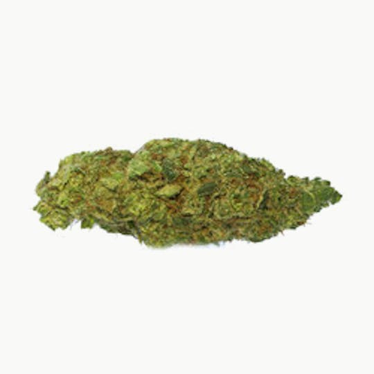 Tryke - Jesus OG - 1