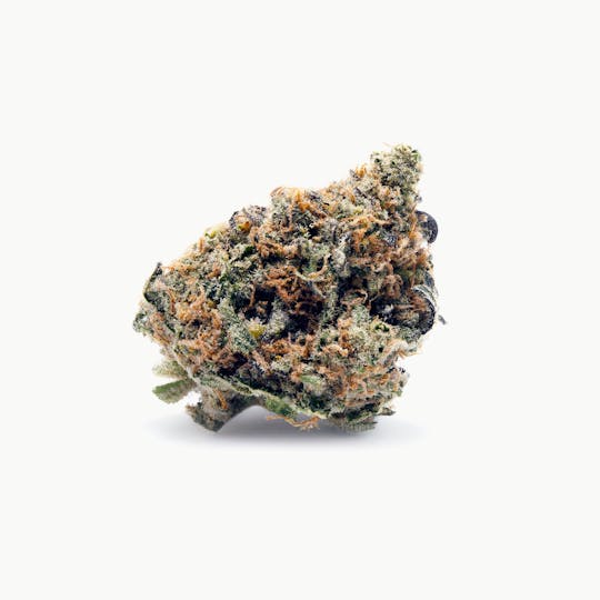 Tryke - Mendo Breath - 1