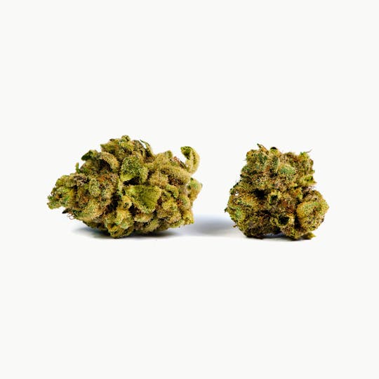 Tryke - Cherry OG - 1