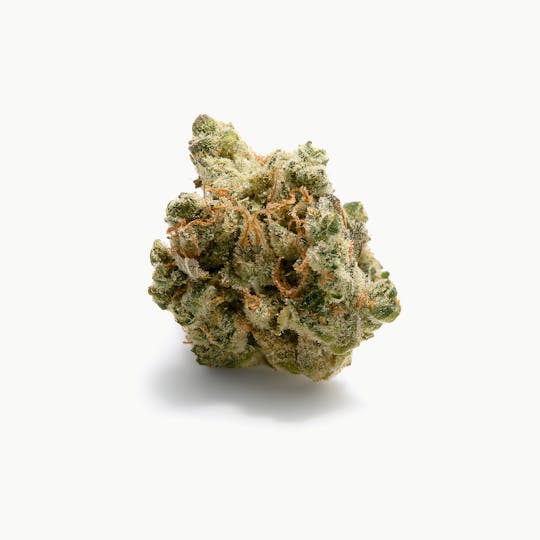 Tryke - Honey Bear Kush - 1