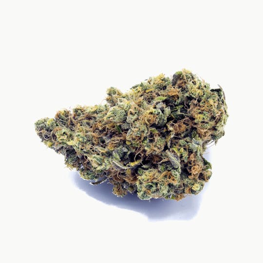 Tryke - Orange Zkittlez - 1