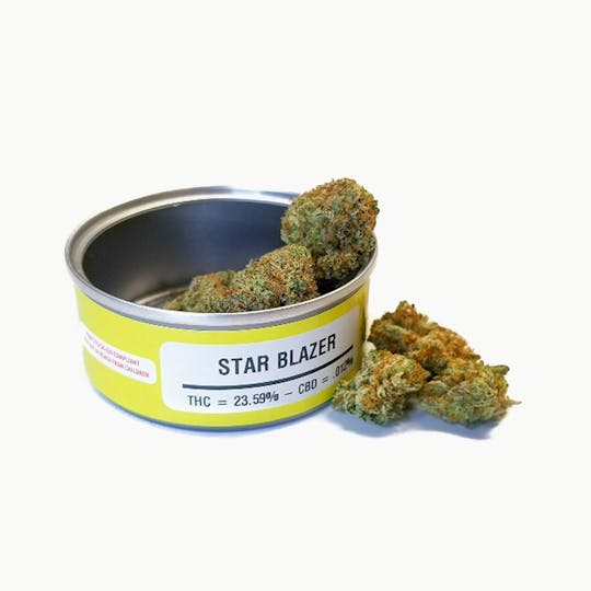 Space Monkey Meds - Star Blazer - 1