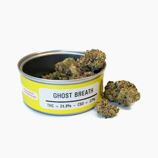 Space Monkey Meds - Ghost Breath - 1