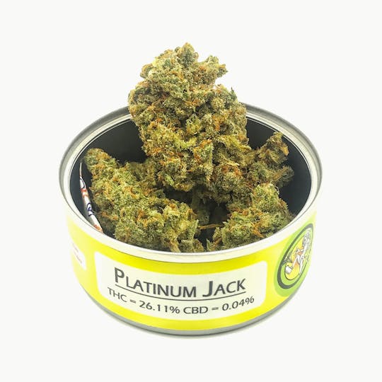 Space Monkey Meds - Platinum Jack - 1