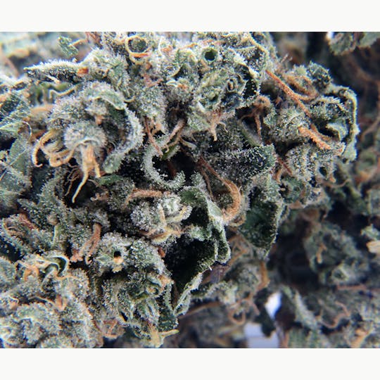Sweetwater Farms - Durban Poison Preroll - Pre-Rolled Joints 1g (2-pack) - 1