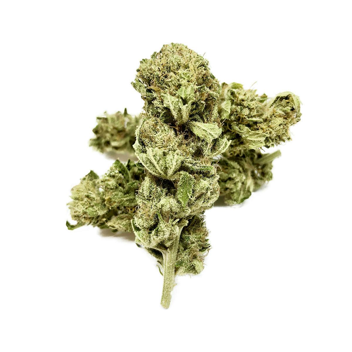 KahnaQueen - Geneva Haze Queen - 1