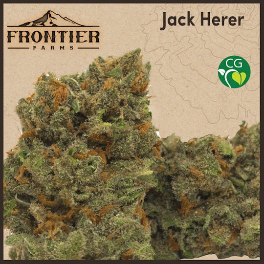 Frontier Farms Cannabis - Jack Herer Flower - 1