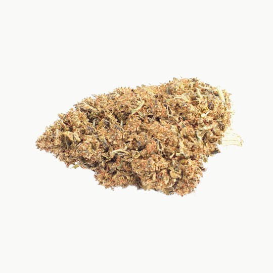 CBDplus - Acapulco Gold - 1
