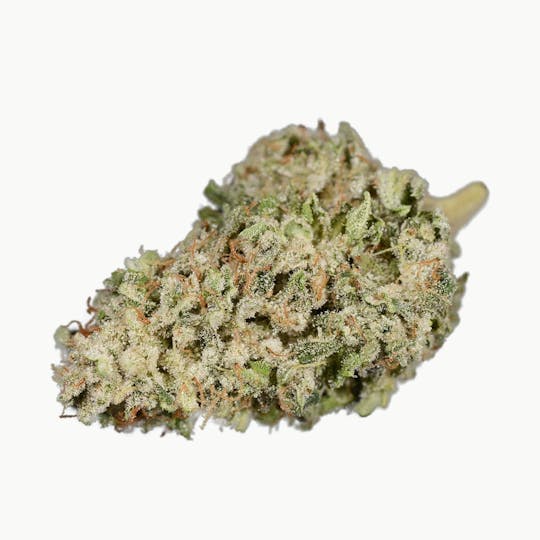 Natty Rems - Juicy Fruit - 1