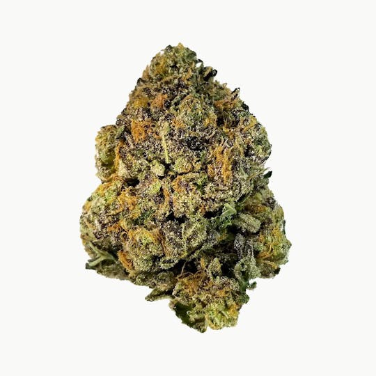 Space Monkey Meds - Sherbert - 1